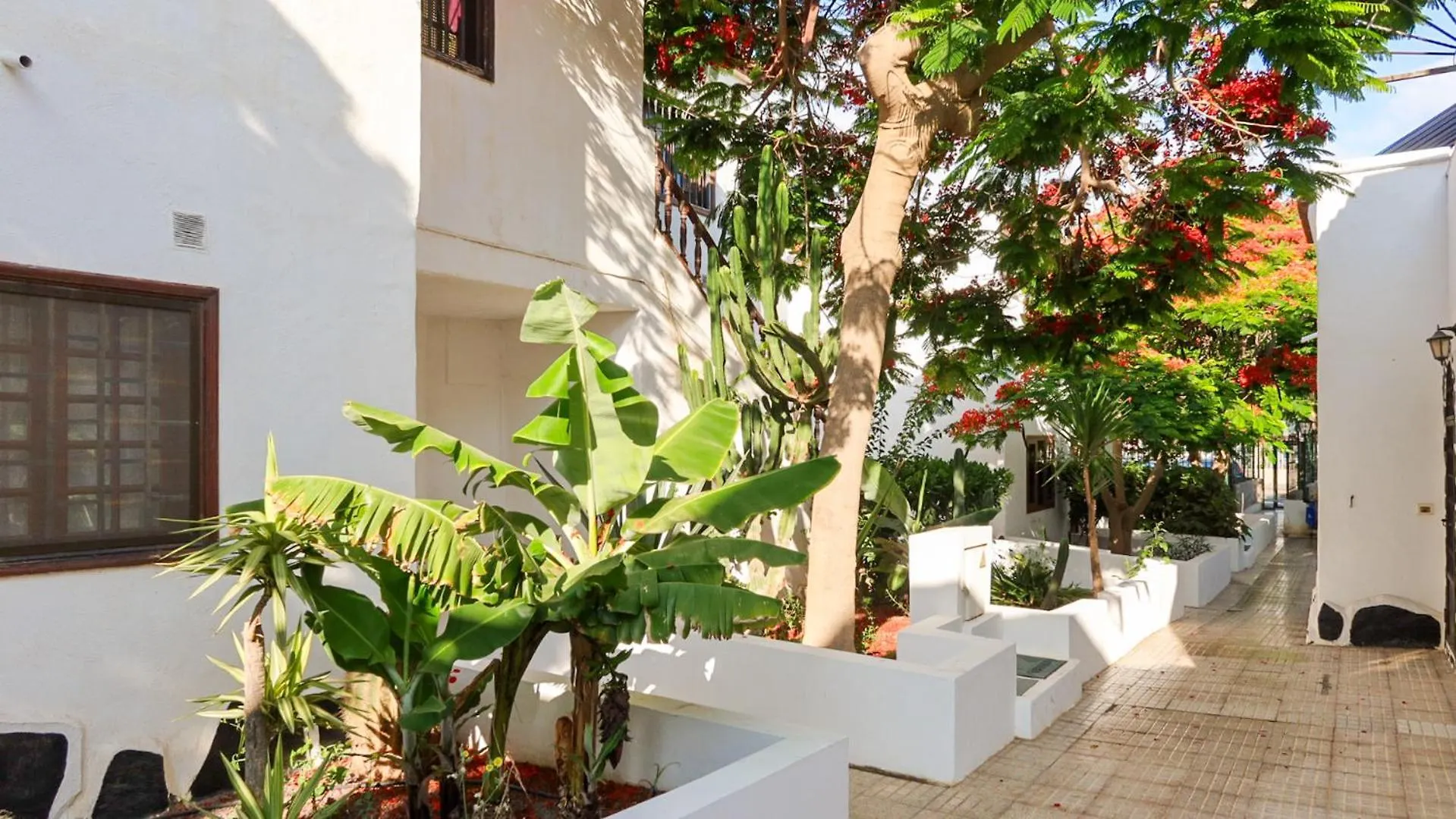 Cozy Duplex In Costa Del Silencio Apartman 0*,